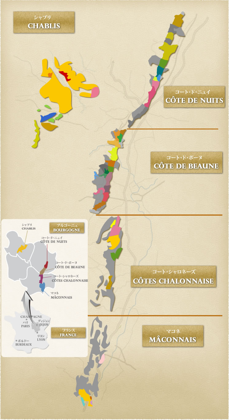 地図から選ぶ Bourgogne Wine Shop Burgundy